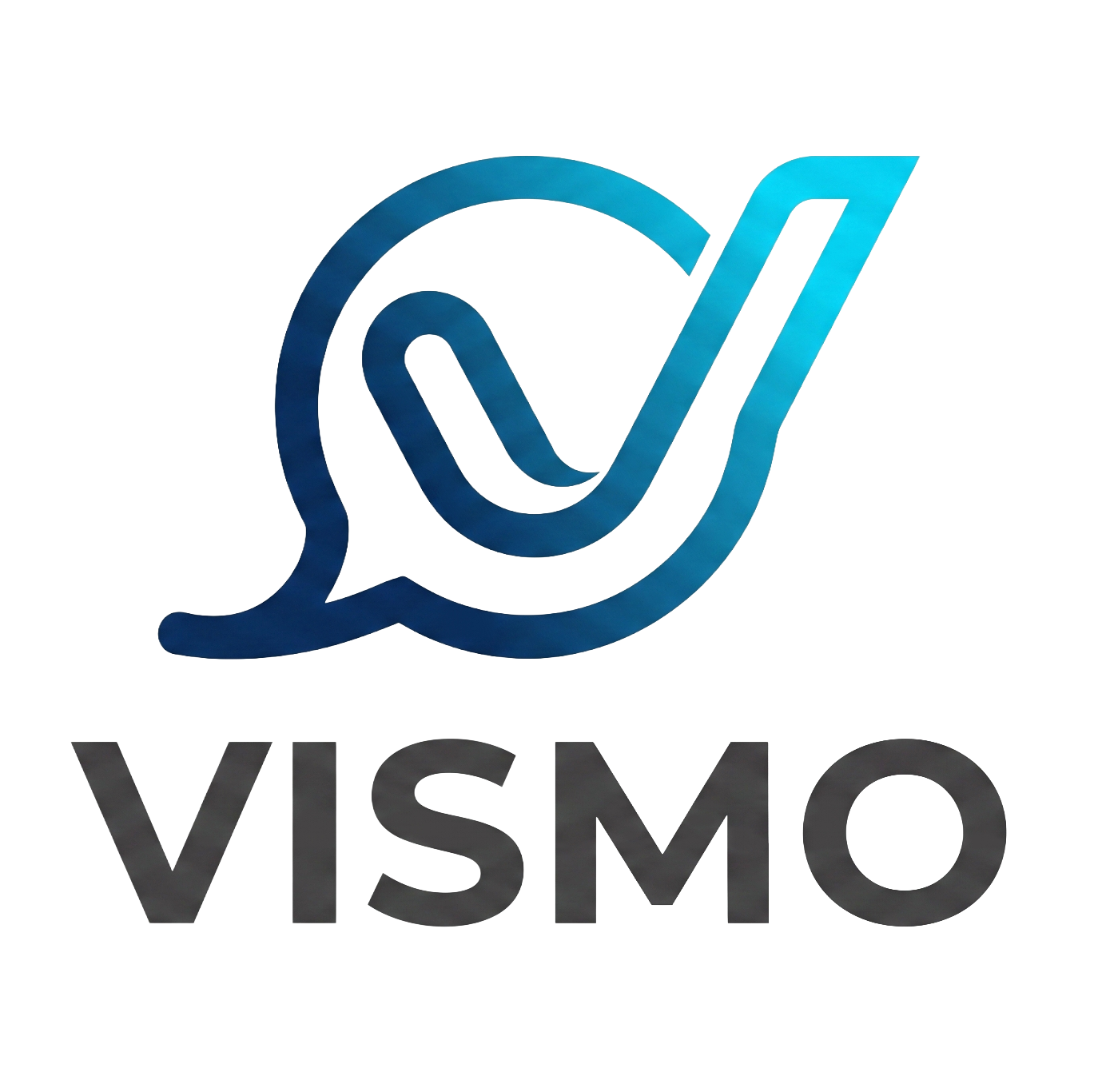 Vismo Logo